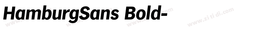 HamburgSans Bold字体转换